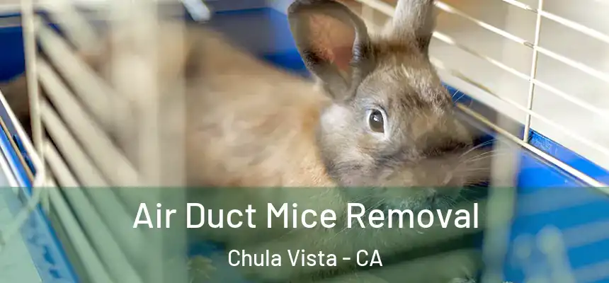 Air Duct Mice Removal Chula Vista - CA