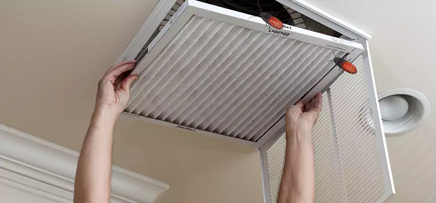 Preventive Cockroach-Proofing for Ducts in Chula Vista