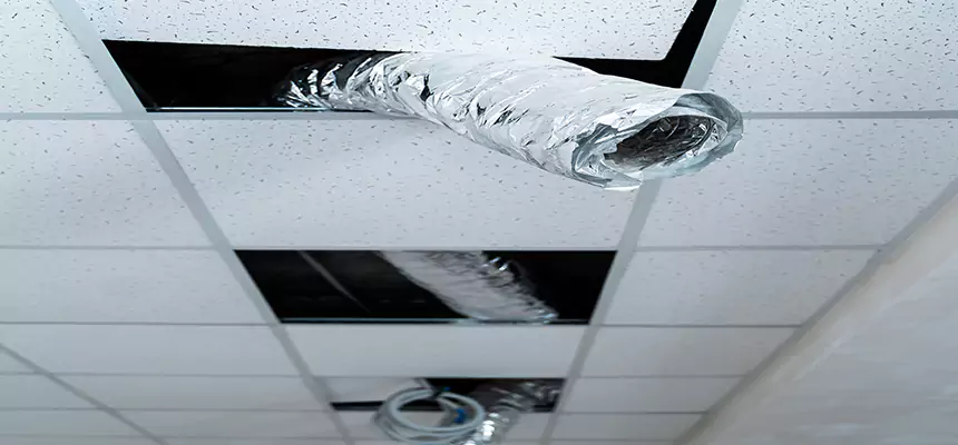 Affordable HVAC Sanitizing After Pest Removal in Chula Vista