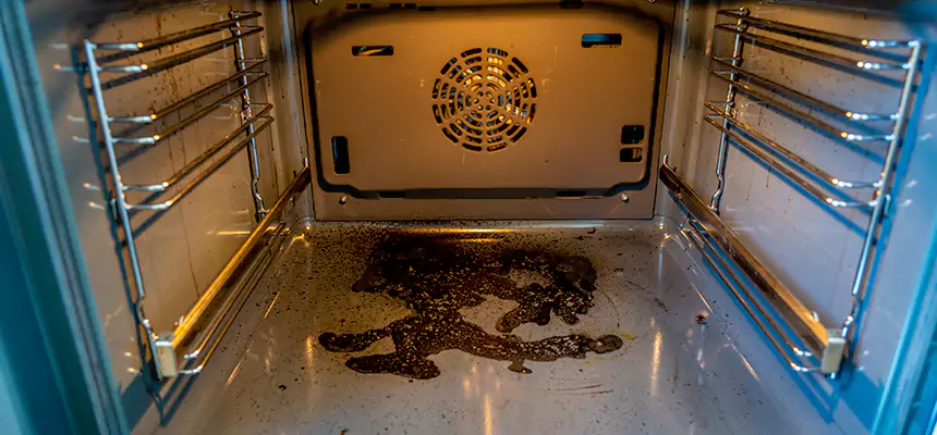 Our Dryer Vent Mold Cleaning Services in Chula Vista, CA