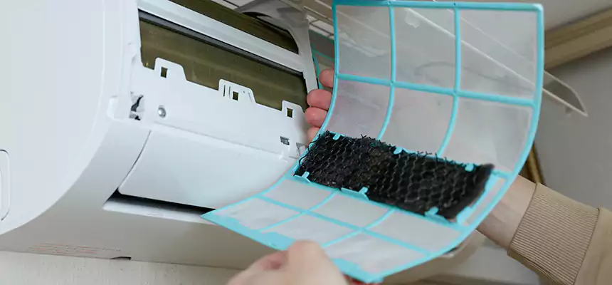 Gentle Ductwork Odor-Control Pet Dander Duct Cleaning in Chula Vista, CA