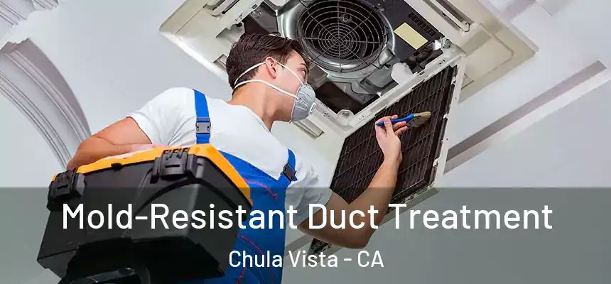  Mold-Resistant Duct Treatment Chula Vista - CA