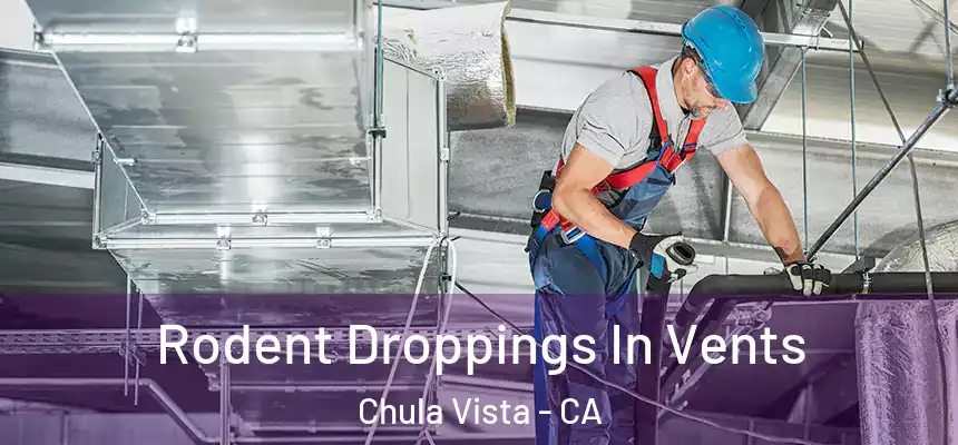  Rodent Droppings In Vents Chula Vista - CA