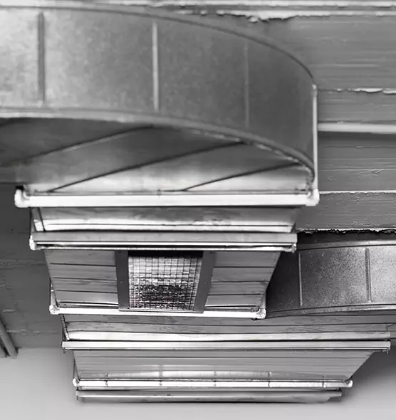 Professional Air Duct Pet Hair Removal in Chula Vista, CA