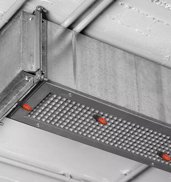 Affordable Insect Removal from Air Ducts in Chula Vista, CA