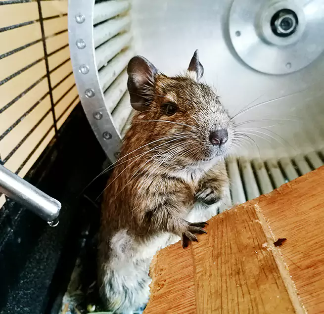 Why Homeowners & Businesses Trust Us Chula Vista, CA