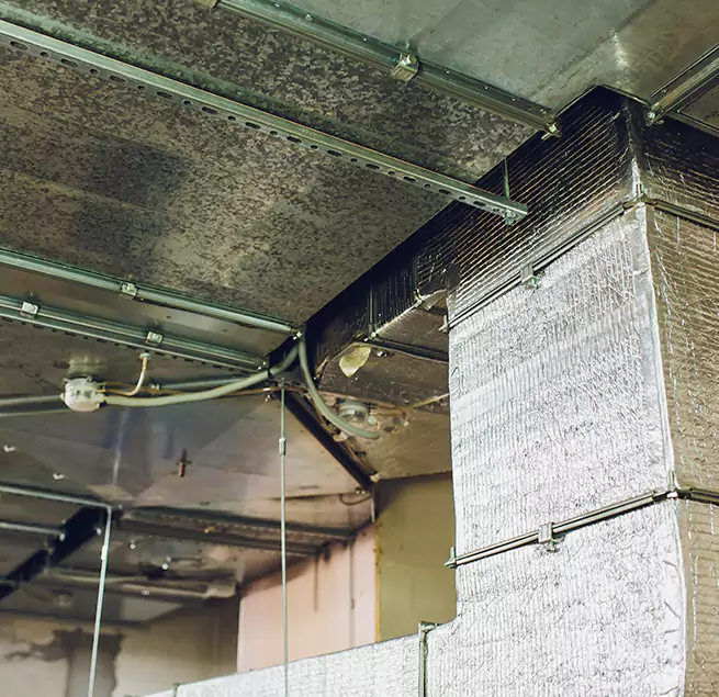 Why Homeowners & Businesses Trust Us in Chula Vista, CA?